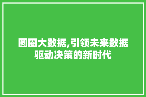 圆圈大数据,引领未来数据驱动决策的新时代