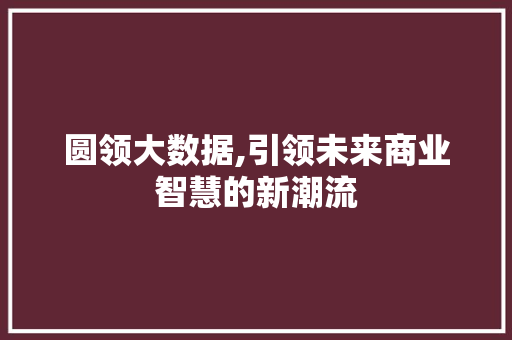 圆领大数据,引领未来商业智慧的新潮流