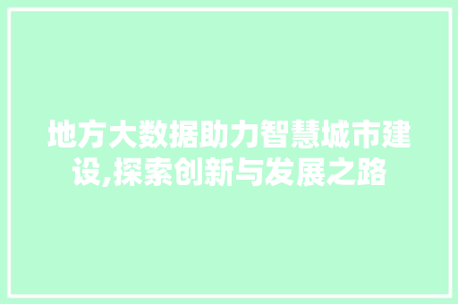 地方大数据助力智慧城市建设,探索创新与发展之路