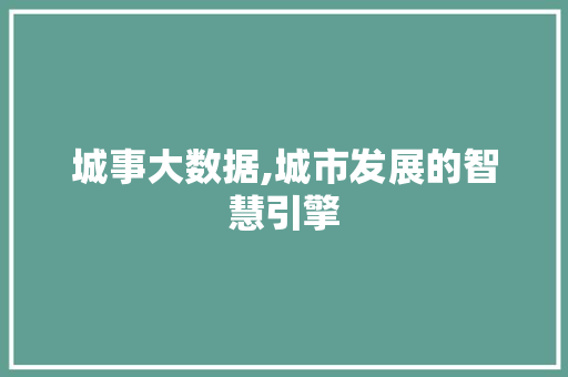 城事大数据,城市发展的智慧引擎