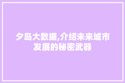 夕岛大数据,介绍未来城市发展的秘密武器