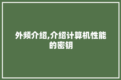 外频介绍,介绍计算机性能的密钥