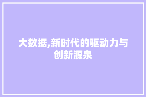 大数据,新时代的驱动力与创新源泉