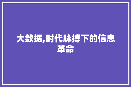 大数据,时代脉搏下的信息革命