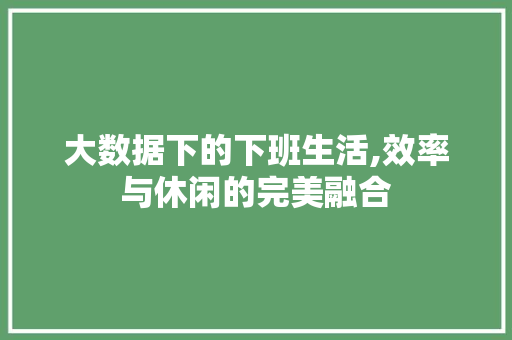 大数据下的下班生活,效率与休闲的完美融合