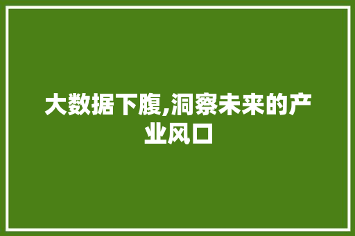 大数据下腹,洞察未来的产业风口