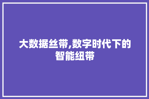 大数据丝带,数字时代下的智能纽带