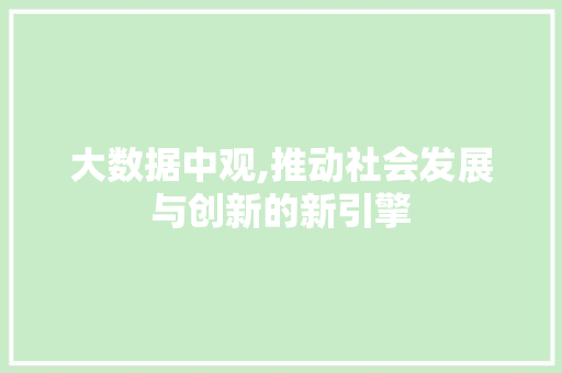 大数据中观,推动社会发展与创新的新引擎