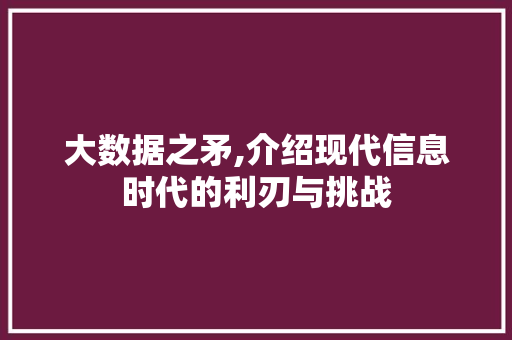 大数据之矛,介绍现代信息时代的利刃与挑战