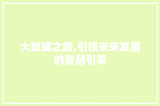 大数据之路,引领未来发展的智慧引擎