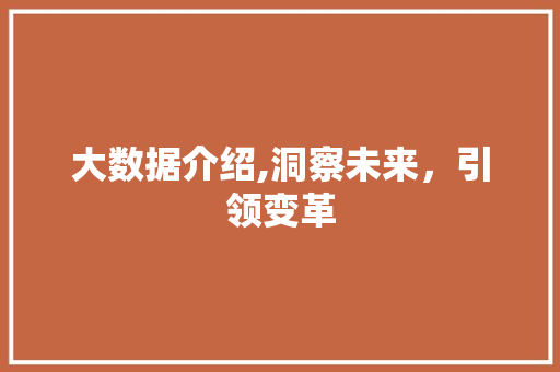 大数据介绍,洞察未来，引领变革