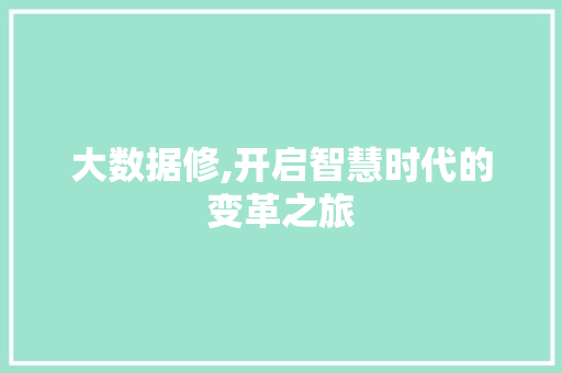 大数据修,开启智慧时代的变革之旅