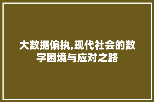 大数据偏执,现代社会的数字困境与应对之路