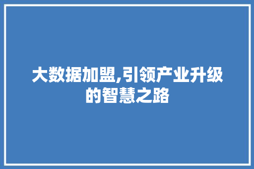 大数据加盟,引领产业升级的智慧之路