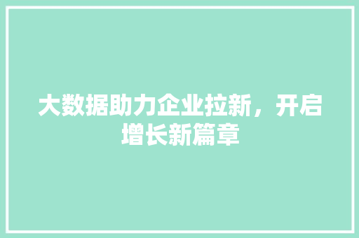 大数据助力企业拉新，开启增长新篇章