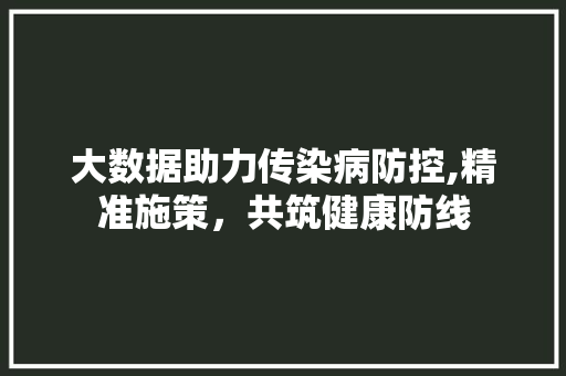 大数据助力传染病防控,精准施策，共筑健康防线