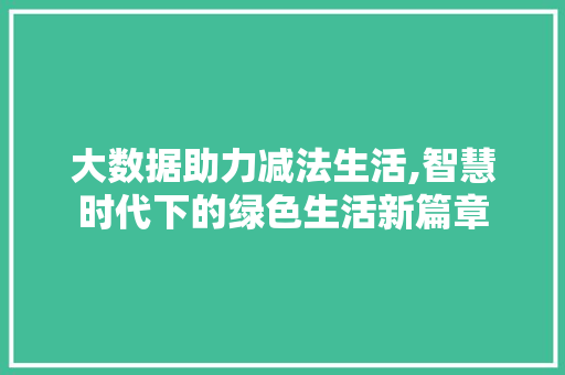 大数据助力减法生活,智慧时代下的绿色生活新篇章