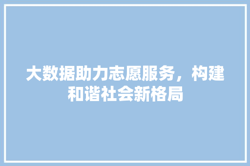 大数据助力志愿服务，构建和谐社会新格局