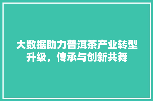 大数据助力普洱茶产业转型升级，传承与创新共舞