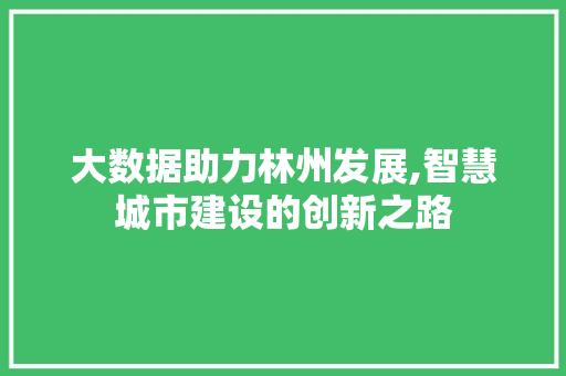 大数据助力林州发展,智慧城市建设的创新之路