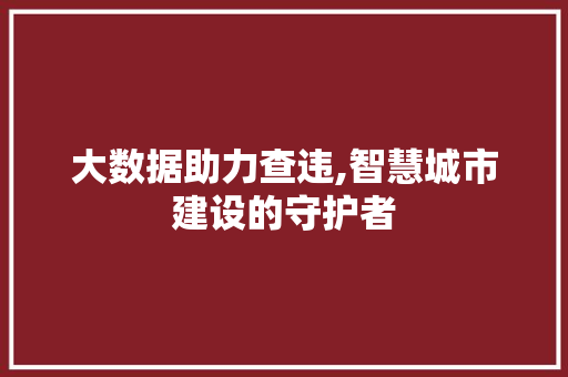 大数据助力查违,智慧城市建设的守护者