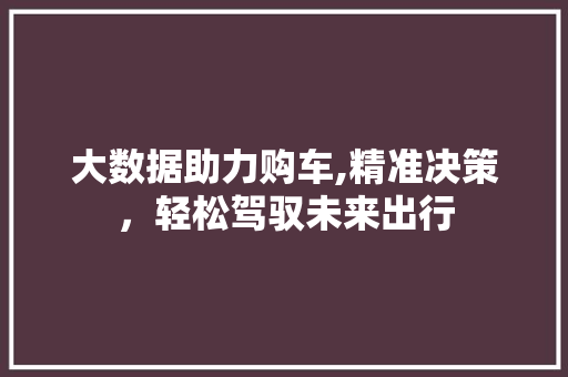 大数据助力购车,精准决策，轻松驾驭未来出行