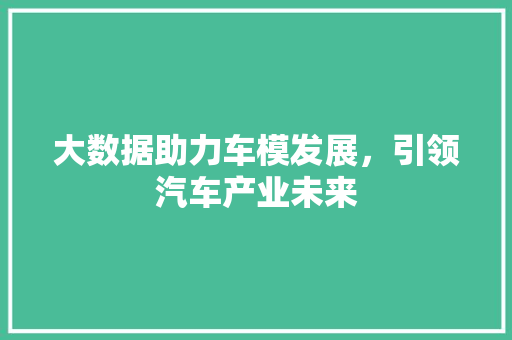 大数据助力车模发展，引领汽车产业未来