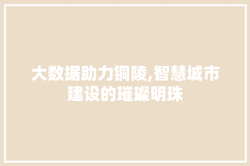 大数据助力铜陵,智慧城市建设的璀璨明珠