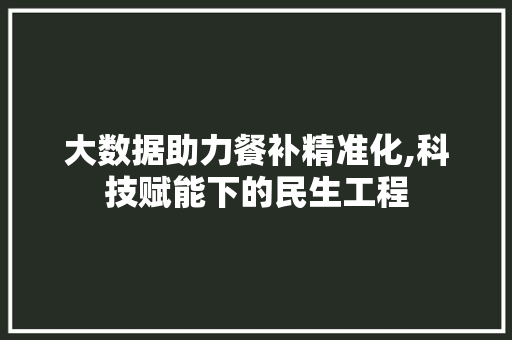 大数据助力餐补精准化,科技赋能下的民生工程