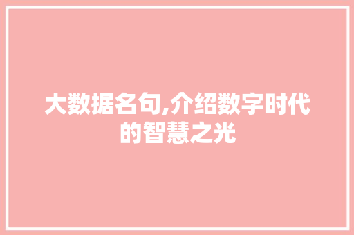 大数据名句,介绍数字时代的智慧之光