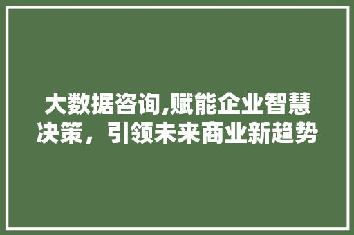 大数据咨询,赋能企业智慧决策，引领未来商业新趋势