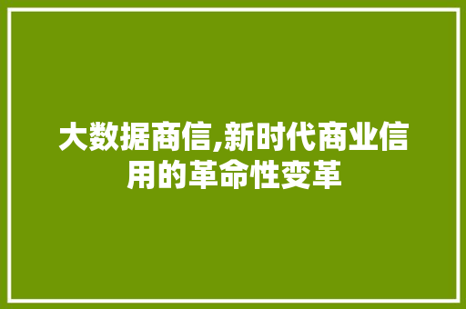 大数据商信,新时代商业信用的革命性变革