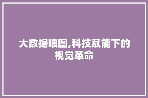 大数据喂图,科技赋能下的视觉革命