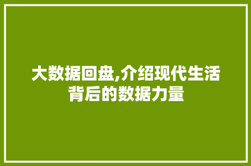 大数据回盘,介绍现代生活背后的数据力量