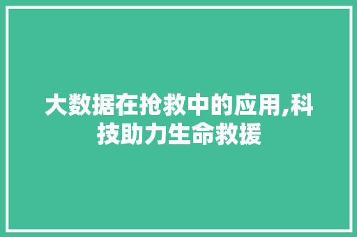 大数据在抢救中的应用,科技助力生命救援