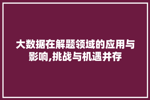 大数据在解题领域的应用与影响,挑战与机遇并存