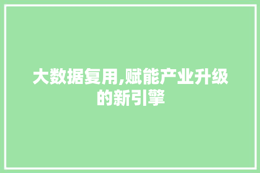 大数据复用,赋能产业升级的新引擎