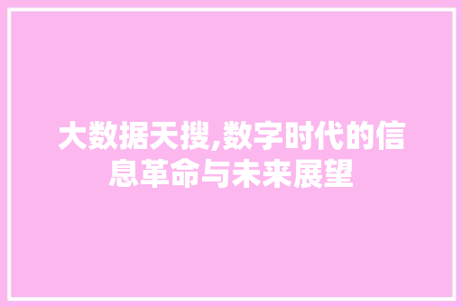 大数据天搜,数字时代的信息革命与未来展望