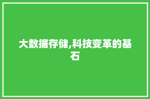 大数据存储,科技变革的基石