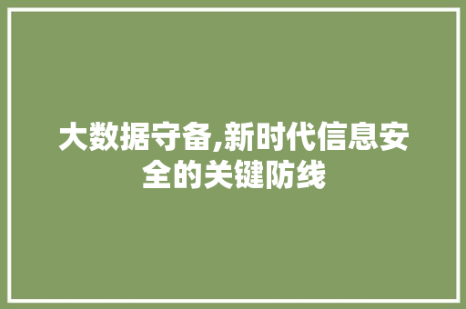 大数据守备,新时代信息安全的关键防线