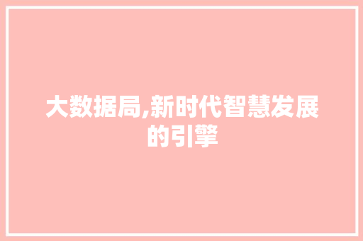 大数据局,新时代智慧发展的引擎