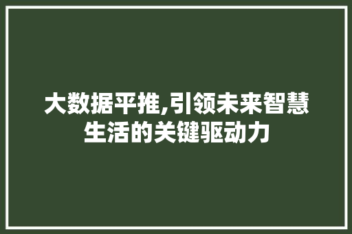 大数据平推,引领未来智慧生活的关键驱动力