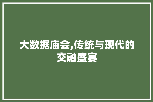 大数据庙会,传统与现代的交融盛宴