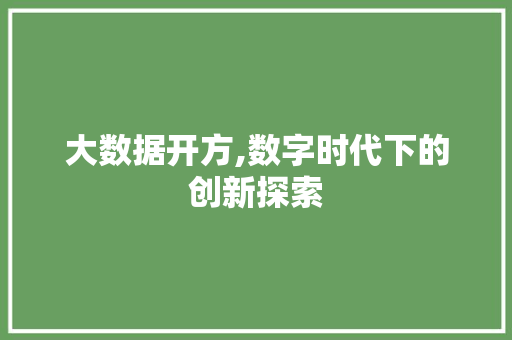 大数据开方,数字时代下的创新探索