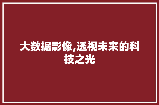 大数据影像,透视未来的科技之光