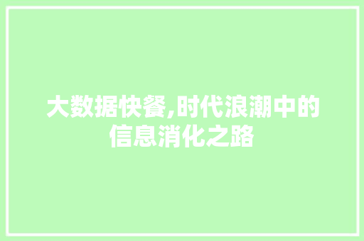 大数据快餐,时代浪潮中的信息消化之路