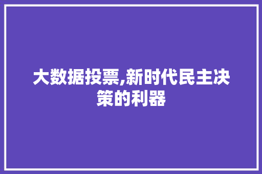 大数据投票,新时代民主决策的利器