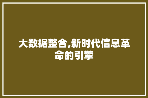 大数据整合,新时代信息革命的引擎