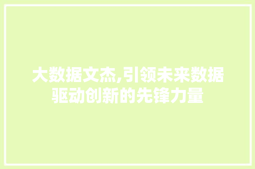 大数据文杰,引领未来数据驱动创新的先锋力量