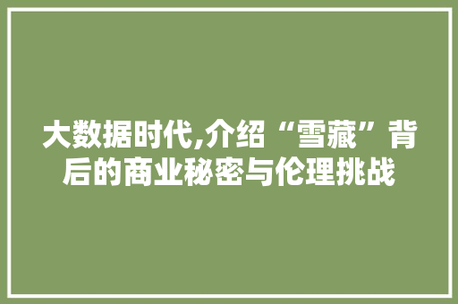 大数据时代,介绍“雪藏”背后的商业秘密与伦理挑战